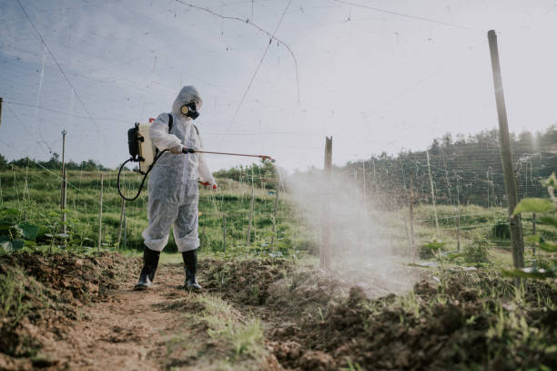 Best Best Pest Control Companies  in Sleepy Hollow, CA