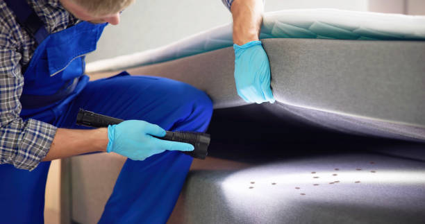 Best Local Pest Control Services  in Sleepy Hollow, CA
